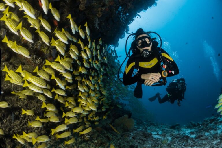 Titelbild zu „Luxus-Tauchreisen – Exklusivurlaub über und unter Wasser“
